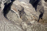 Orient Mine